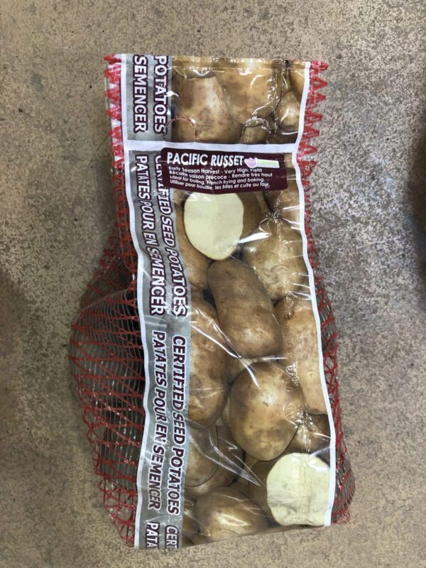 potatoes-pacific-russet-bulb-seed-florissa