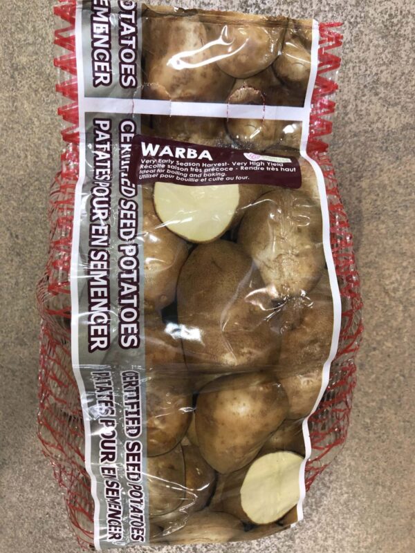 potatoes-warba-seed-bulb-florissa
