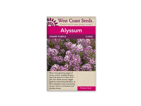 alyssum-dwarf-purple-west-coast-seeds