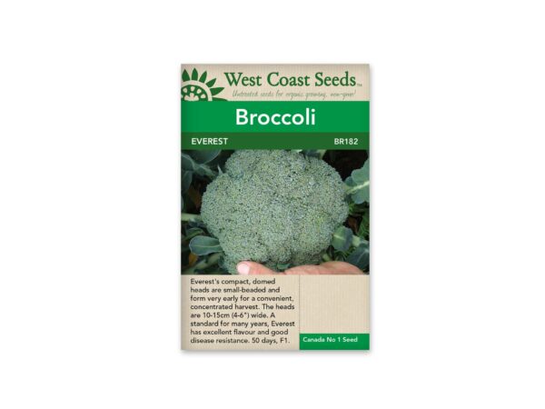 broccoli-everest-west-coast-seeds