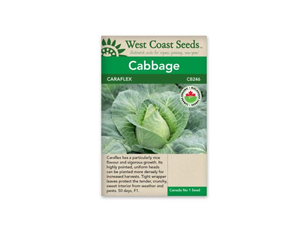 cabbage-caraflex-west-coast-seeds