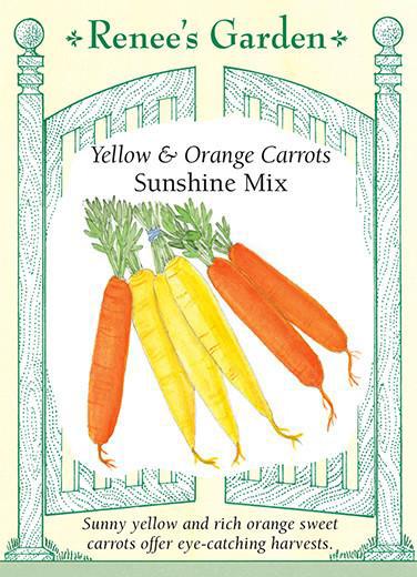 carrot-sunshine-orange-yellow-renees-garden