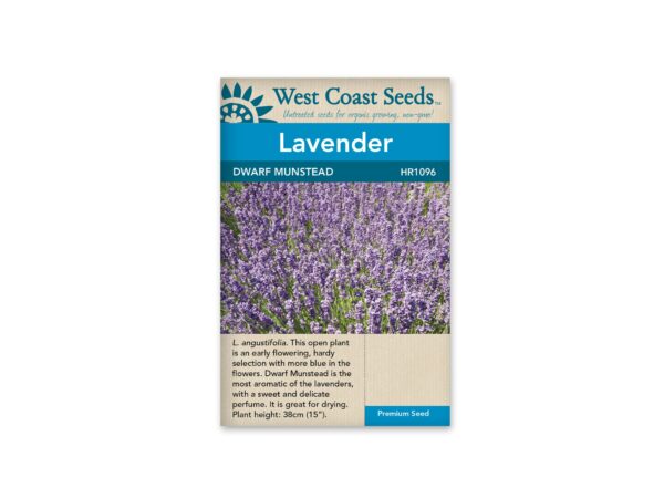 lavender-dwarf-munstead-west-coast-seeds