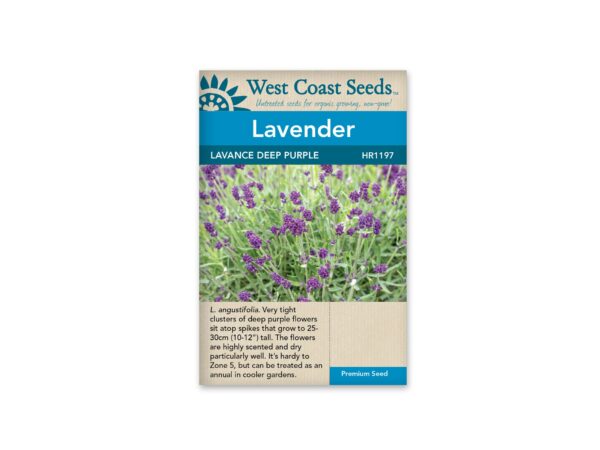 lavender-lavance-deep-purple-west-coast-seeds
