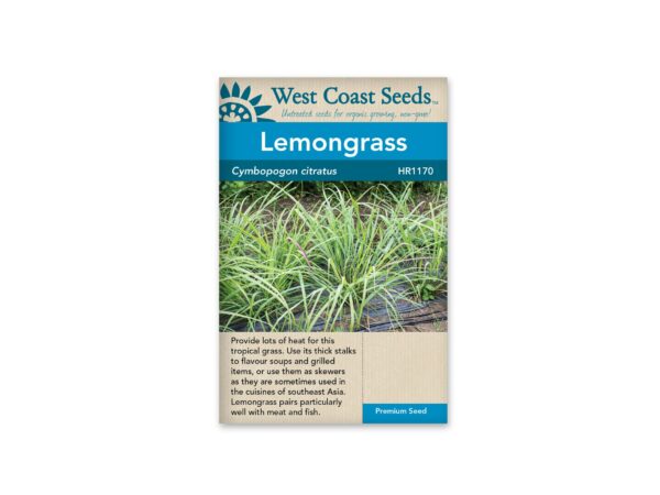 lemongrass-cymbopogon-citratus-west-coast-seeds