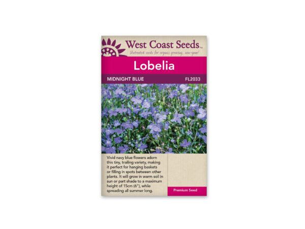 lobelia-midnight-blue-west-coast-seeds