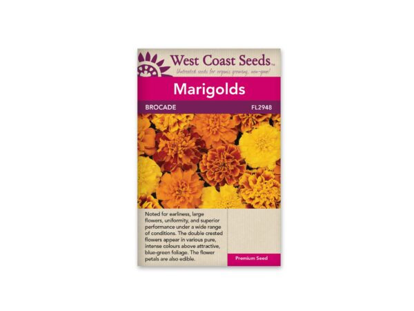 marigolds-brocade-west-coast-seeds