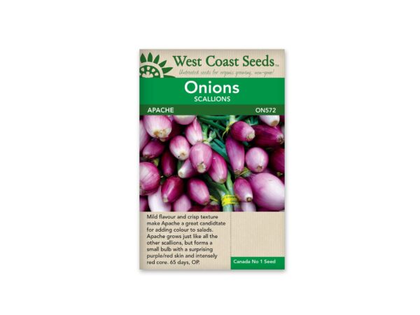 onions-scallions-apache-west-coast-seeds