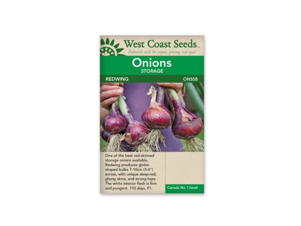 onions-storage-redwing-west-coast-seeds