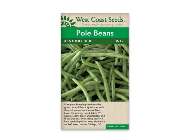 pole-beans-kentucky-blue-west-coast-seeds