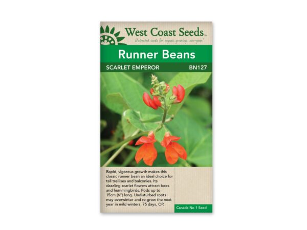 runner-beans-scarlet-emperor-west-coast-seeds