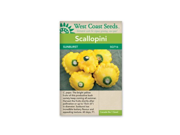 scallopini-sunburst-west-coast-seeds