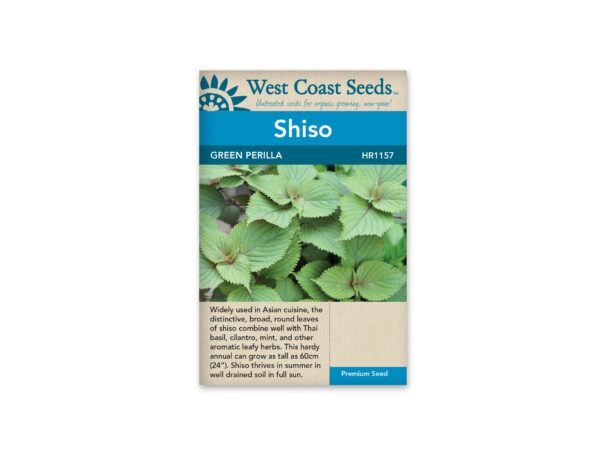 shiso-green-perilla-west-coast-seeds