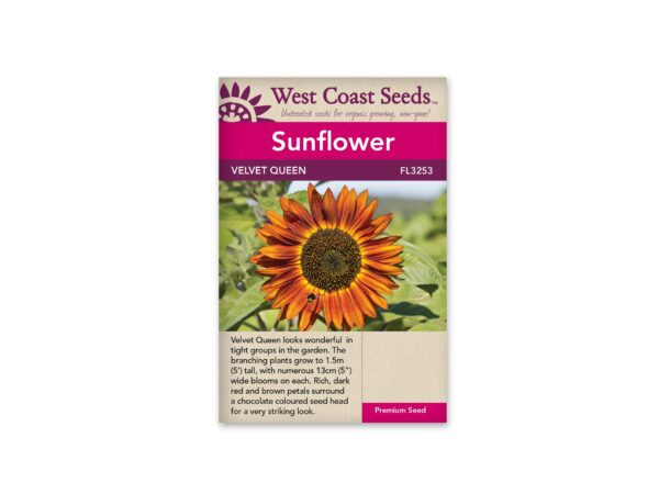 sunflower-velvet-queen-west-coast-seeds