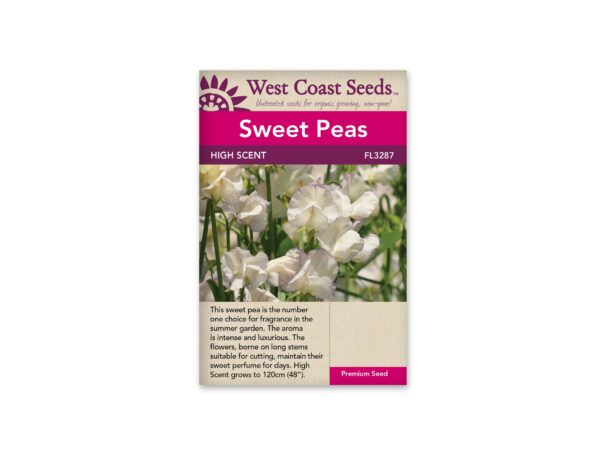 sweet-peas-hight-scent-west-coast-seeds