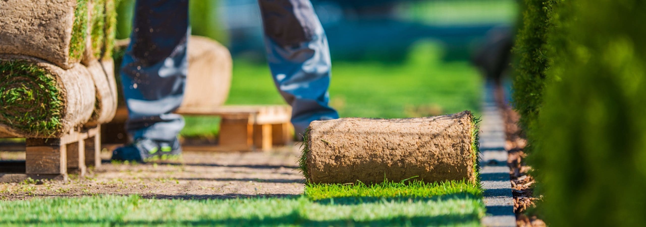 laying sod with legs shutterstock_693908044