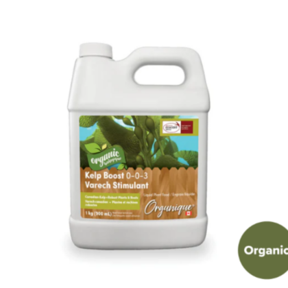 orgumic-kelp-boost-