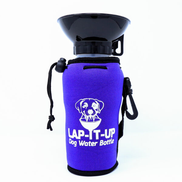 lap-it-up-purple-dog-water-bottle