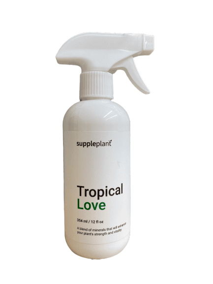 tropical-love-suppleplant