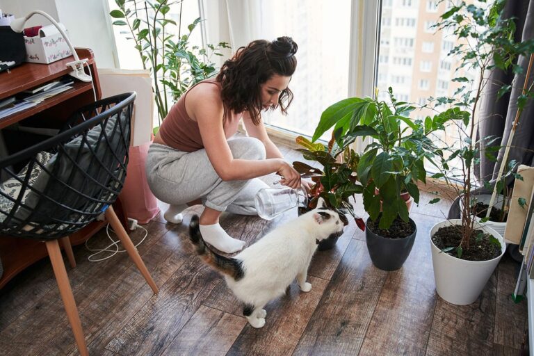 Indoor Plants that are Safe for Pets