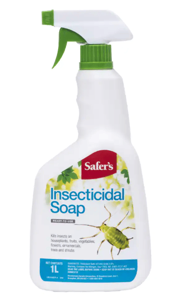 safers-insect-soap