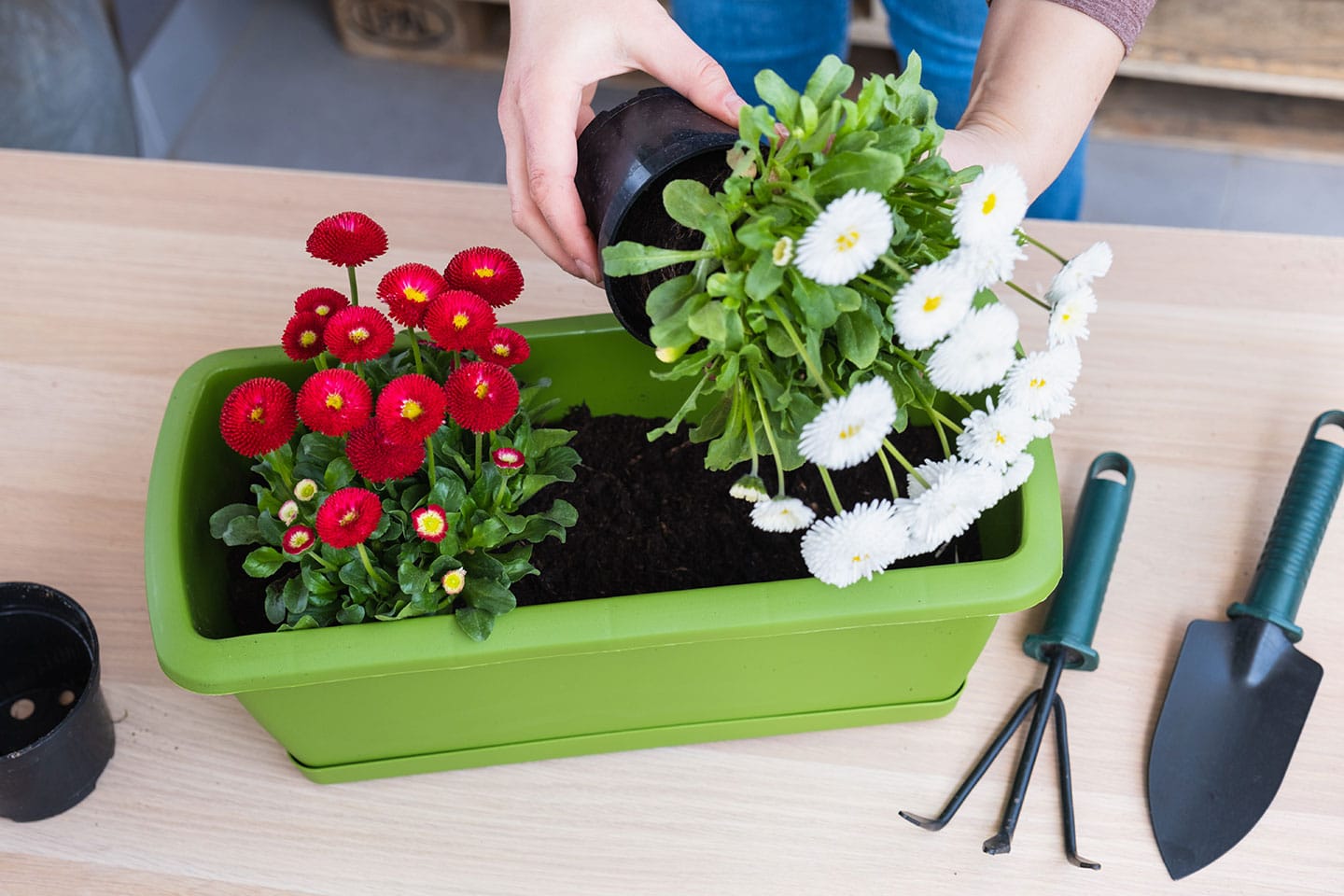 Get Ready for Spring Gardening With These 8 Must-Do Tasks