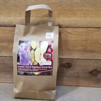 Spring Seed Potato - Fingerling Combo Package