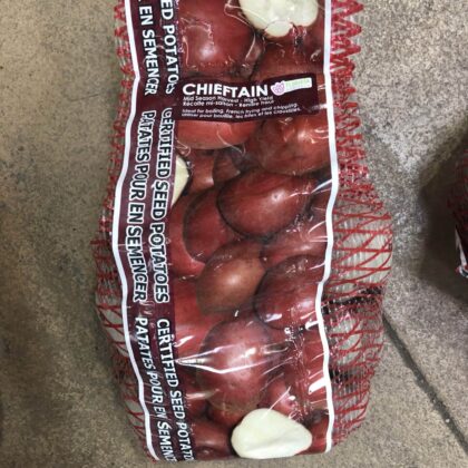 Spring Bulbs-Potatoes Seed Chieftan-Florissa