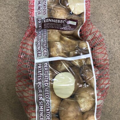 Spring Bulbs-Potatoes Seed Kennebec-Florissa