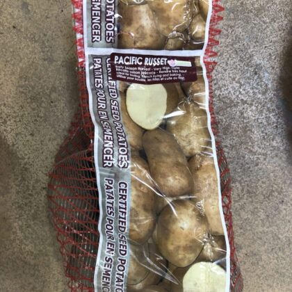 Spring Bulbs-Potatoes Seed Pacific Russet-Florissa