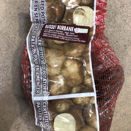 Spring Bulbs-Potatoes Seed Russet Burbank-Florissa