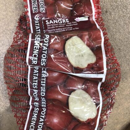 Spring Bulbs-Potatoes Seed Sangre-Florissa
