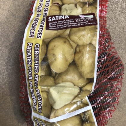 Spring Bulbs-Potatoes Seed Satina-Florissa