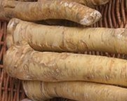 Veg-Horseradish (6.5")