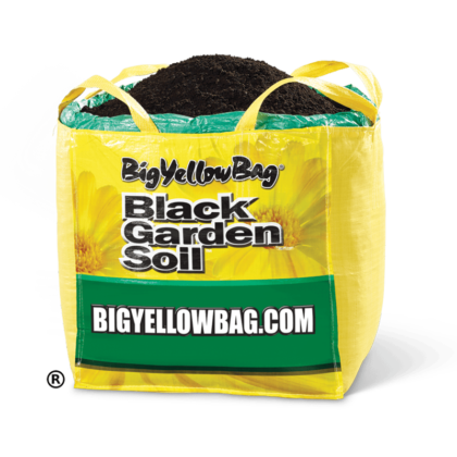 Big Yellow Bag (Red Deer/Edmonton)