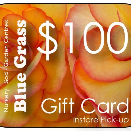 Blue Grass Gift Card $100 In-Store Pick-up