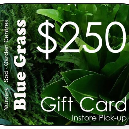 Blue Grass Gift Card $250 In-Store Pick-up