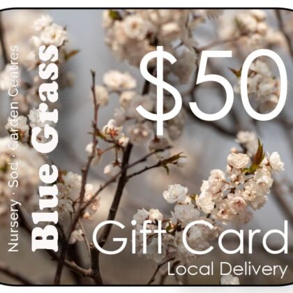 Blue Grass Gift Card $50 Mail  Delivery Included