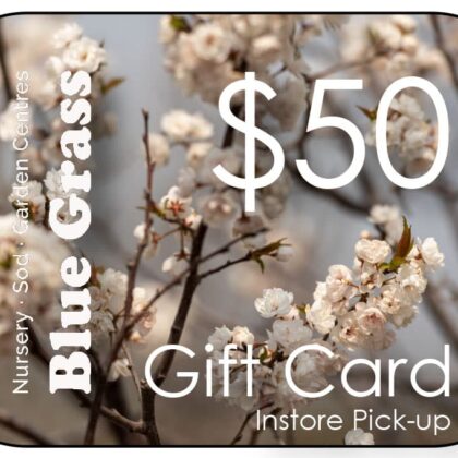 Blue Grass Gift Card $50 In-Store Pick-up