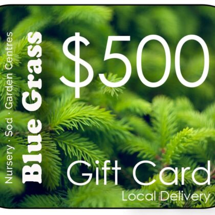 Blue Grass Gift Card $500 Mail Delivery Included
