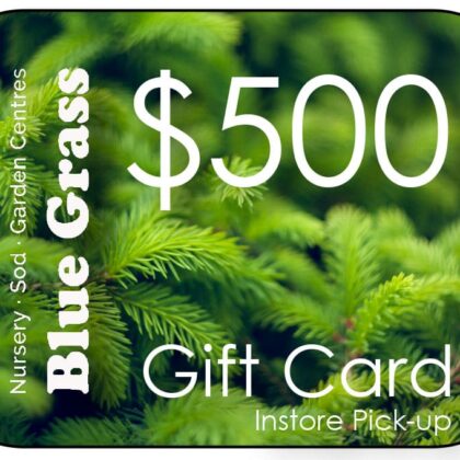 Blue Grass Gift Card $500 In-Store Pick-up