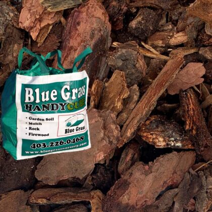 Fir Nuggets Medium (1.5"-2.5") - Handy Bag