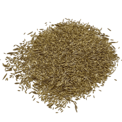 Blue Grass Custom Mix Grass Seeds By LB