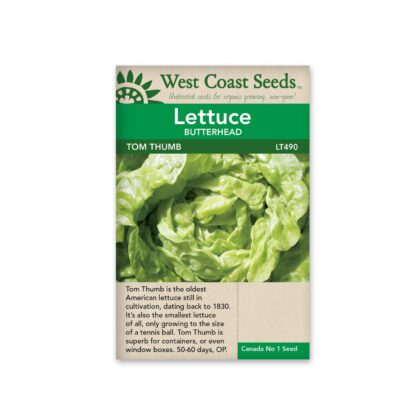 Butterhead Lettuce -Tom Thumb-West Coast