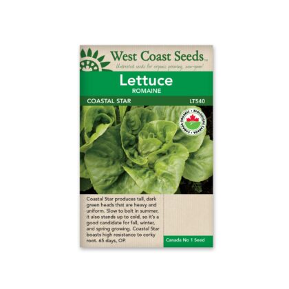 Romaine Lettuce-Coastal Star Certified Organic (200 Seeds)-West Coast