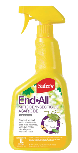 Safer's End ALL Miticide/Insecticide