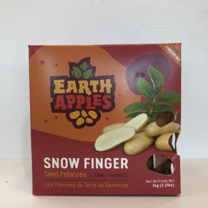 Spring Bulbs - Seed Potatoes Snow Finger-Earthapples