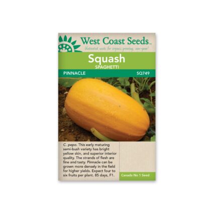 Spaghetti Squash-Pinnacle-West Coast