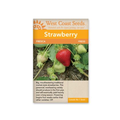 Strawberries-Fresca (40 Seeds)-West Coast