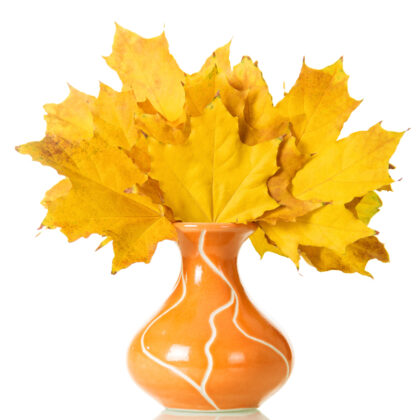 Seasonal Décor
